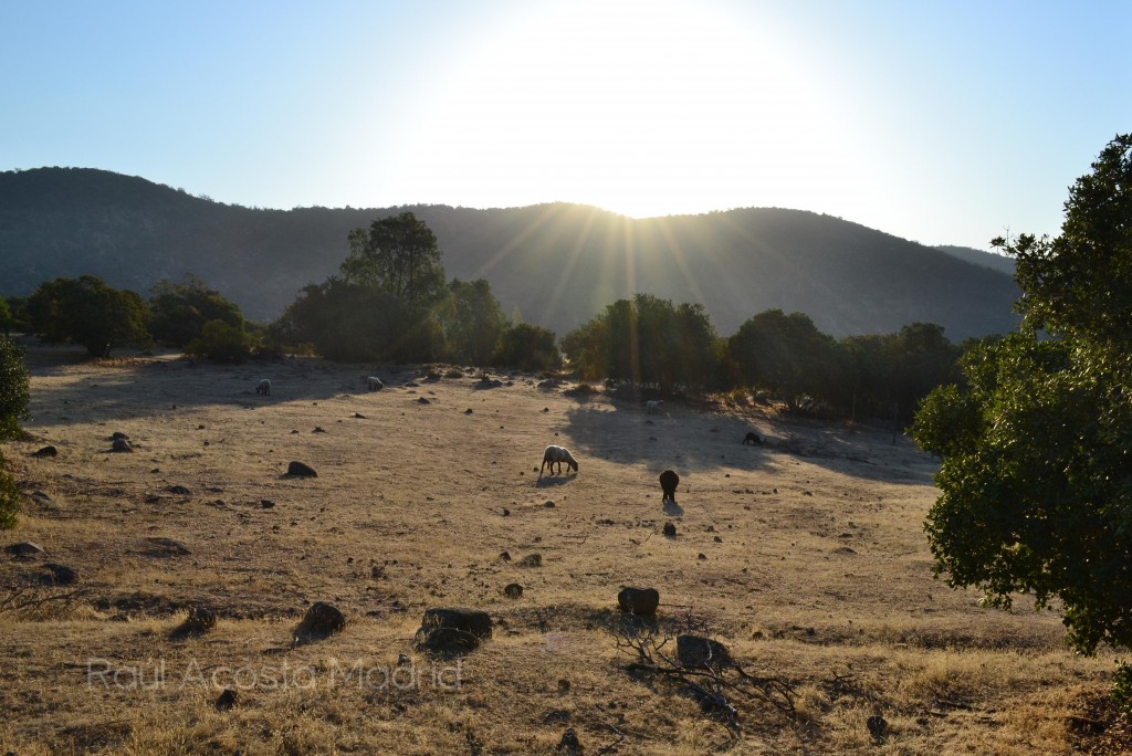 Foto de Alhué (Región Metropolitana), Chile