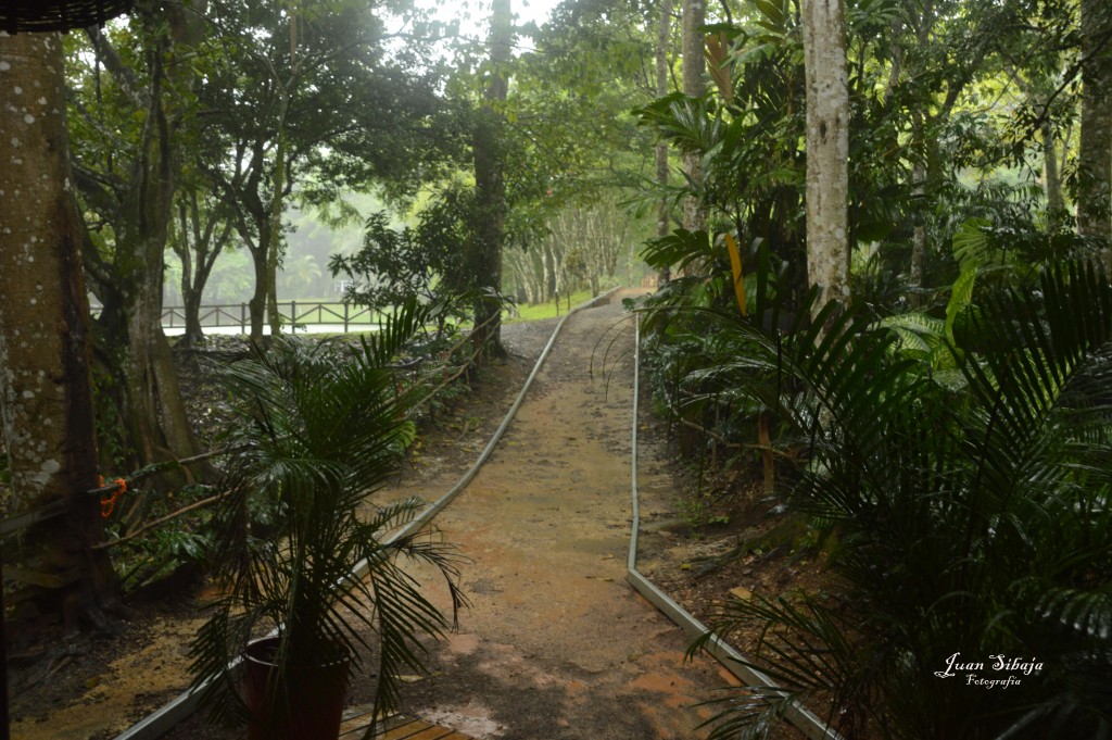 Foto de El Rodeo (San José), Costa Rica