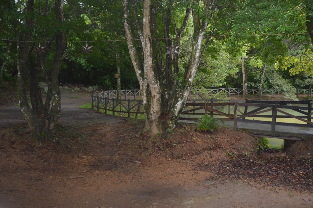 Foto de El Rodeo (San José), Costa Rica