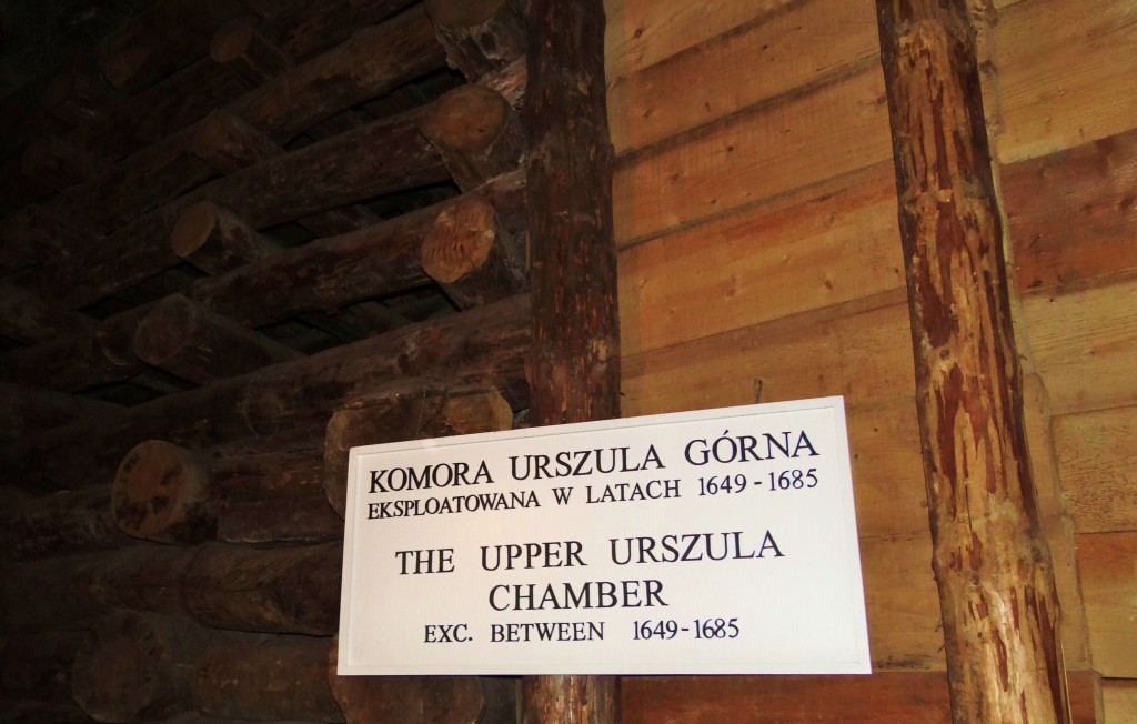 Foto: Kopalnia Soli Wieliczka - Wieliczka (Lesser Poland Voivodeship), Polonia