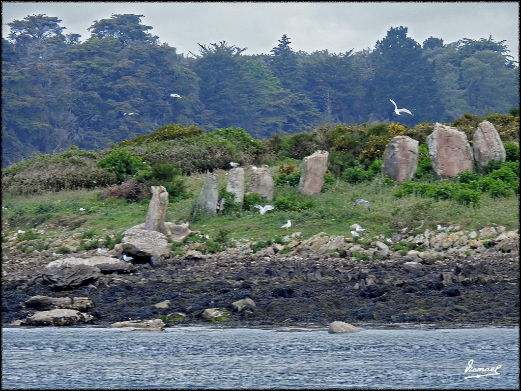 Foto: 170506-123 GOLFO MORBIHAN - Golfo Morbihan (Brittany), Francia