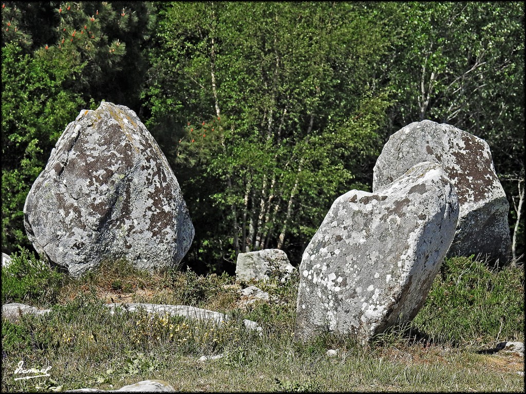Foto: 170506-182 CARNAC MEGALITOS - Carnac (Brittany), Francia