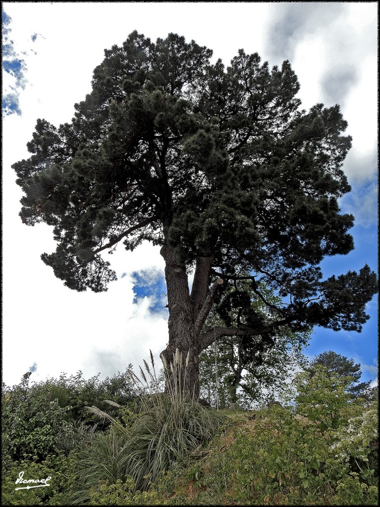 Foto: 170506-147 ISLA DE LOS MONJES - Isla de los Monjes (Brittany), Francia