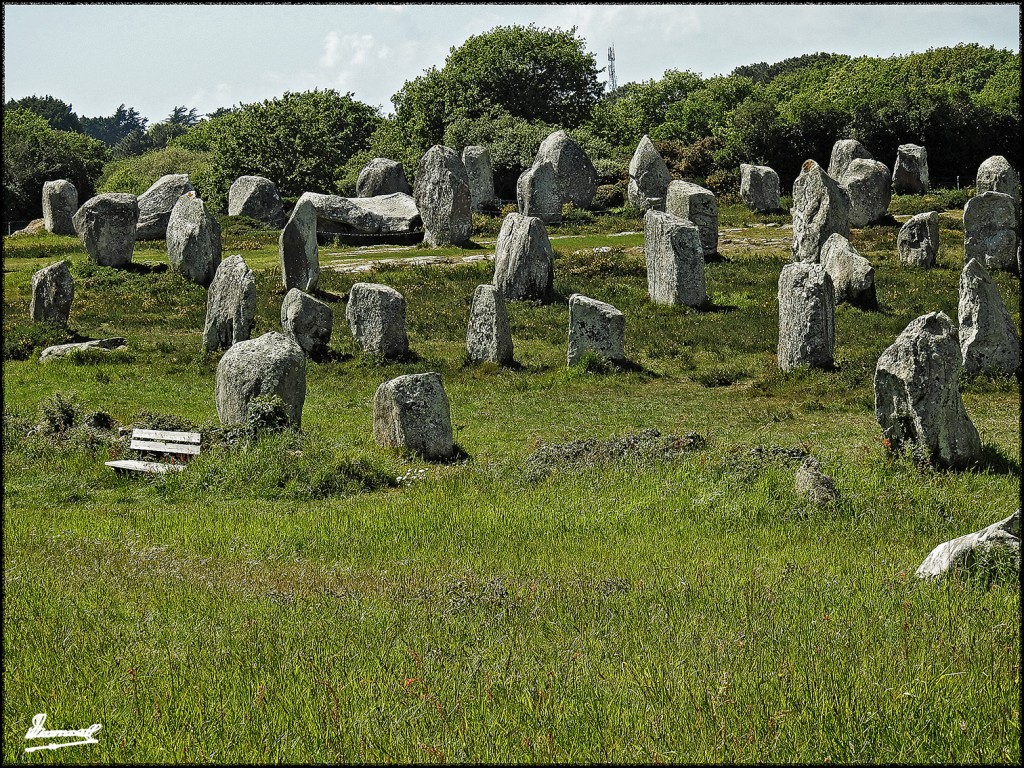 Foto: 170506-180 CARNAC MEGALITOS - Carnac (Brittany), Francia