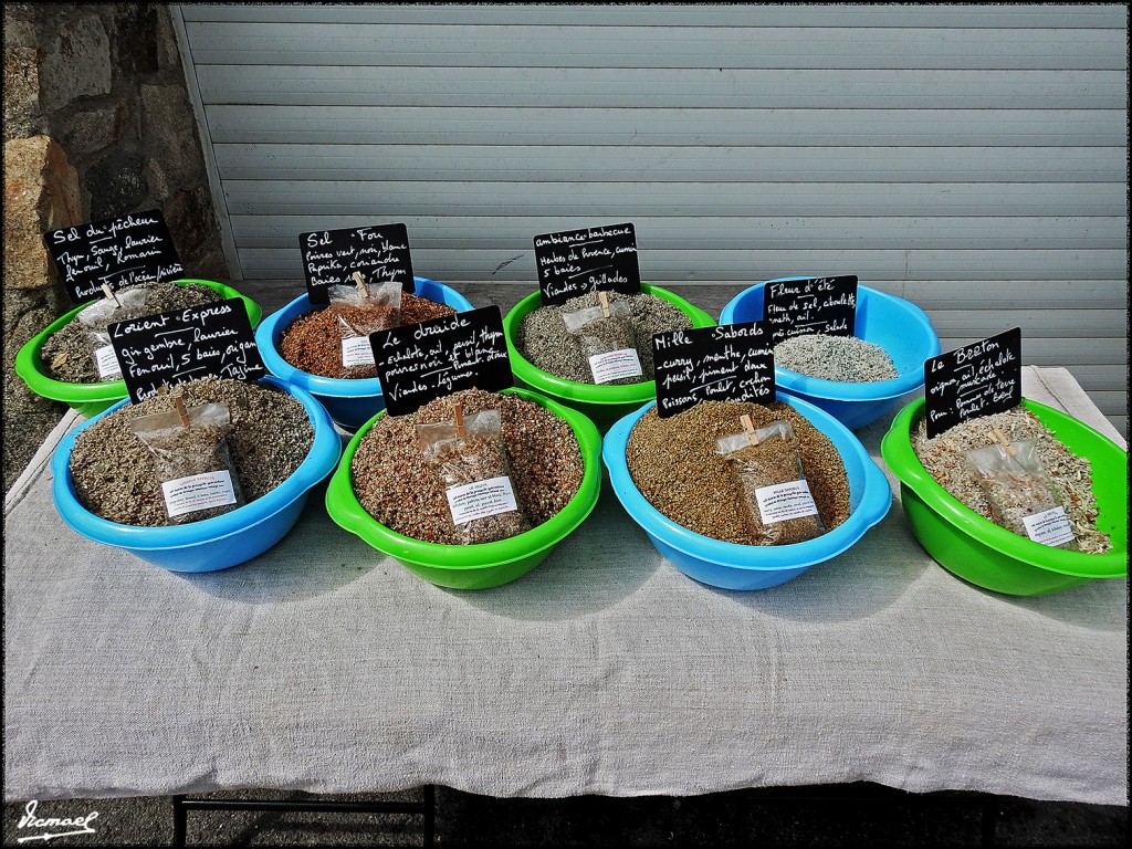 Foto: 170506-148 ISLA DE LOS MONJES - Isla de los Monjes (Brittany), Francia