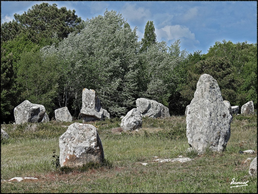 Foto: 170506-181 CARNAC MEGALITOS - Carnac (Brittany), Francia