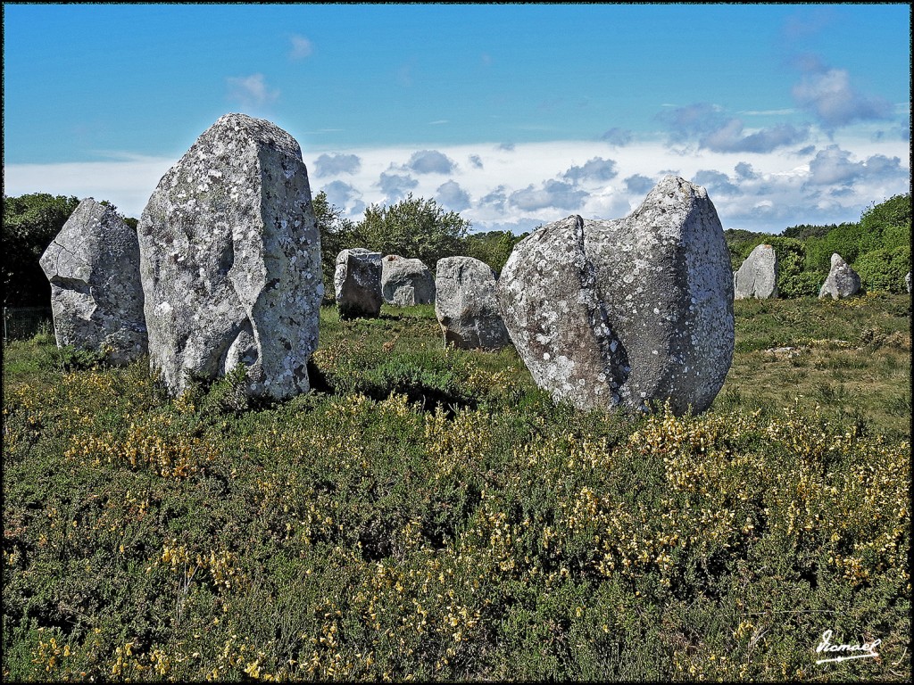 Foto: 170506-201 CARNAC MEGALITOS - Carnac (Brittany), Francia