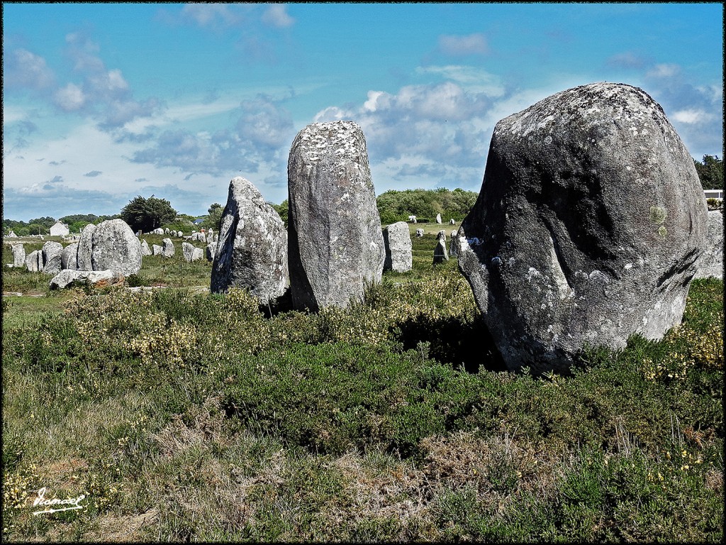 Foto: 170506-206 CARNAC MEGALITOS - Carnac (Brittany), Francia