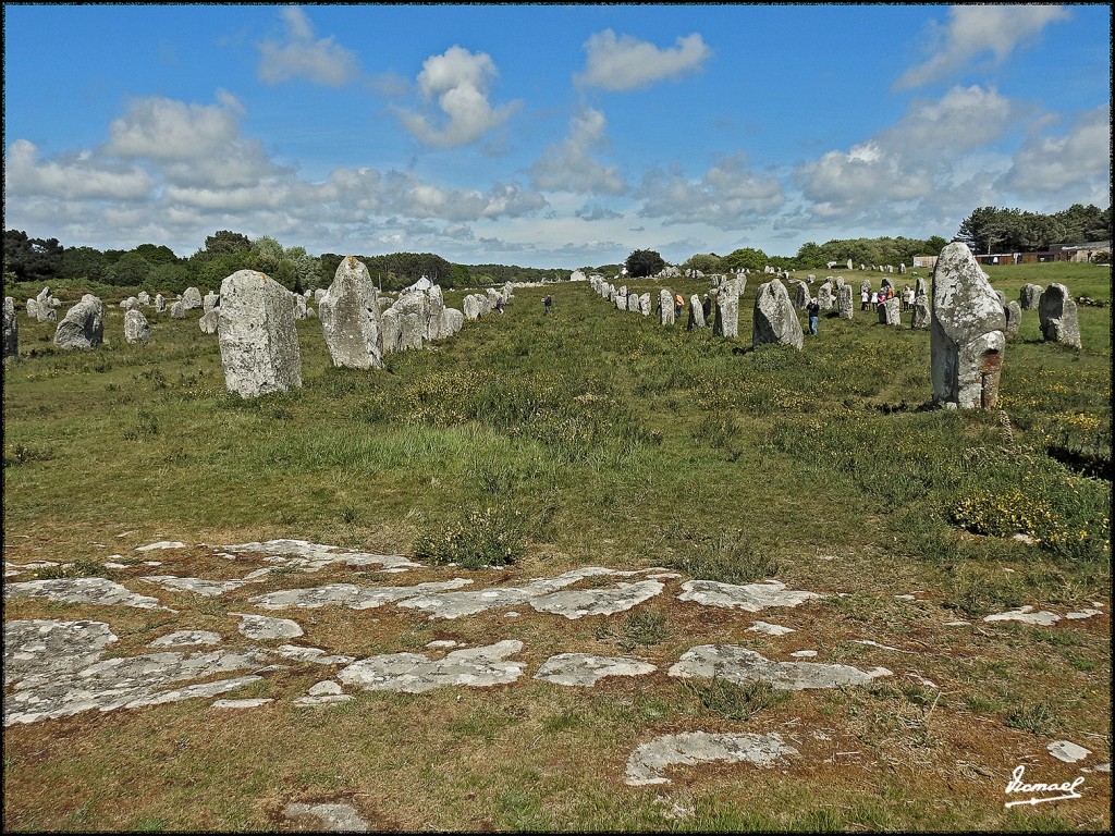 Foto: 170506-198 CARNAC MEGALITOS - Carnac (Brittany), Francia