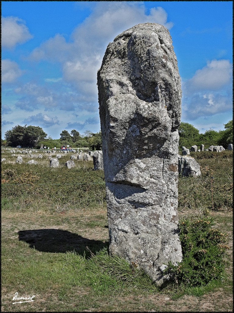 Foto: 170506-215 CARNAC MEGALITOS - Carnac (Brittany), Francia