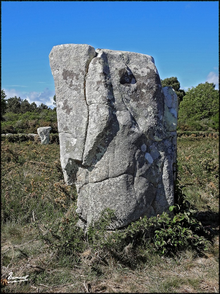 Foto: 170506-216 CARNAC MEGALITOS - Carnac (Brittany), Francia