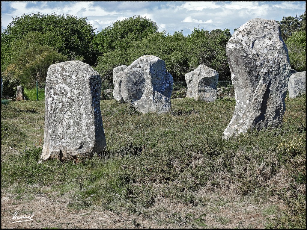 Foto: 170506-226 CARNAC MEGALITOS - Carnac (Brittany), Francia