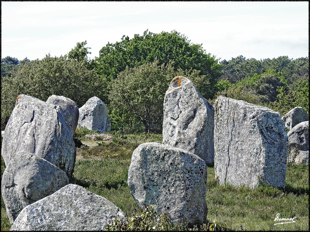 Foto: 170506-191 CARNAC MEGALITOS - Carnac (Brittany), Francia