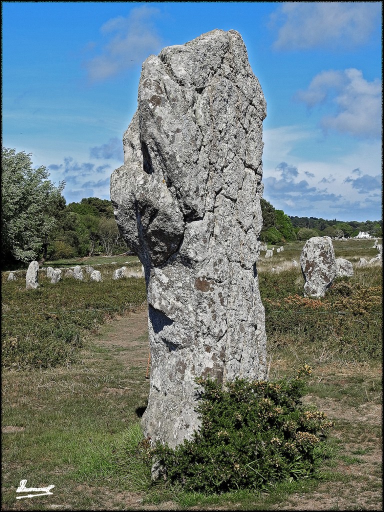 Foto: 170506-219 CARNAC MEGALITOS - Carnac (Brittany), Francia