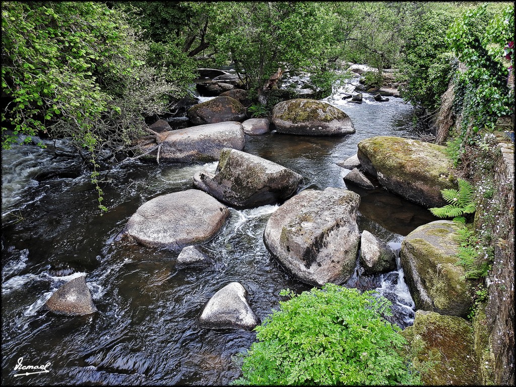Foto: 170507-009 PONT AVEN - Pont Aven (Brittany), Francia