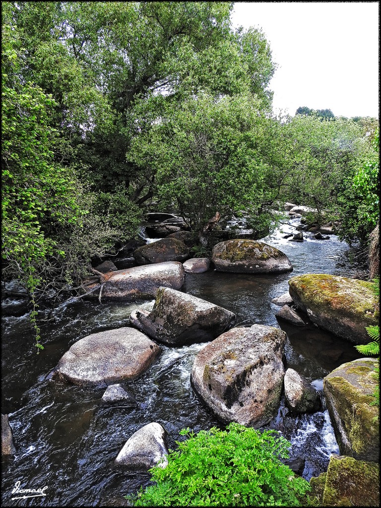 Foto: 170507-007 PONT AVEN - Pont Aven (Brittany), Francia