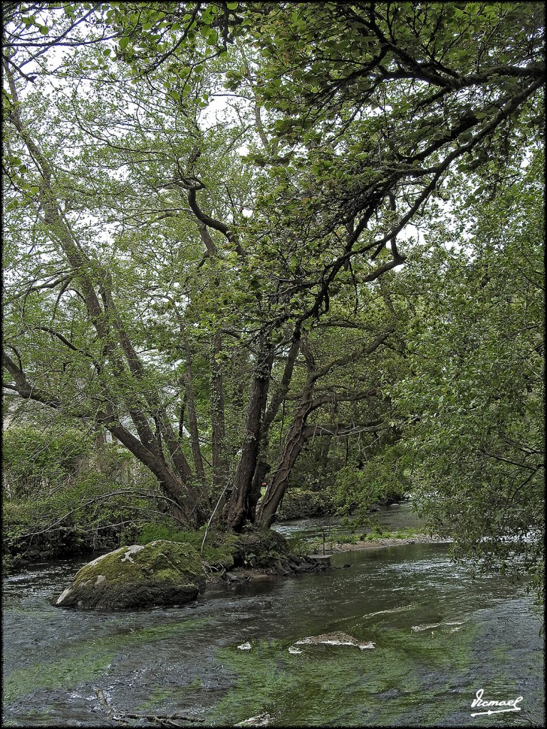 Foto: 170507-064 PONT AVEN - Pont Aven (Brittany), Francia