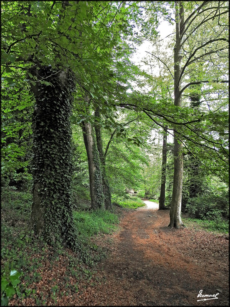 Foto: 170507-081 PONT AVEN - Pont Aven (Brittany), Francia