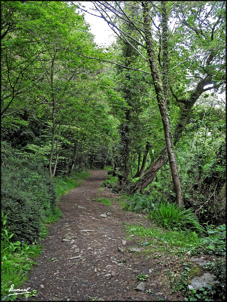 Foto: 170507-074 PONT AVEN - Pont Aven (Brittany), Francia