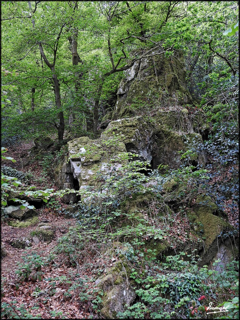 Foto: 170507-076 PONT AVEN - Pont Aven (Brittany), Francia