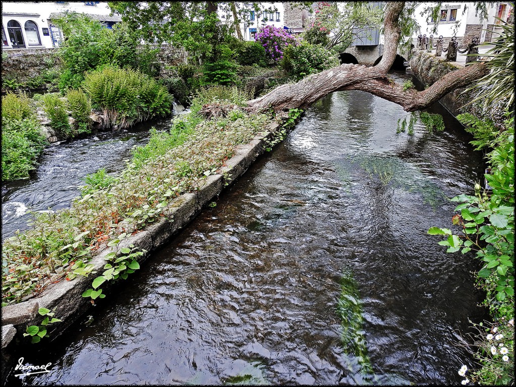 Foto: 170507-030 PONT AVEN - Pont Aven (Brittany), Francia