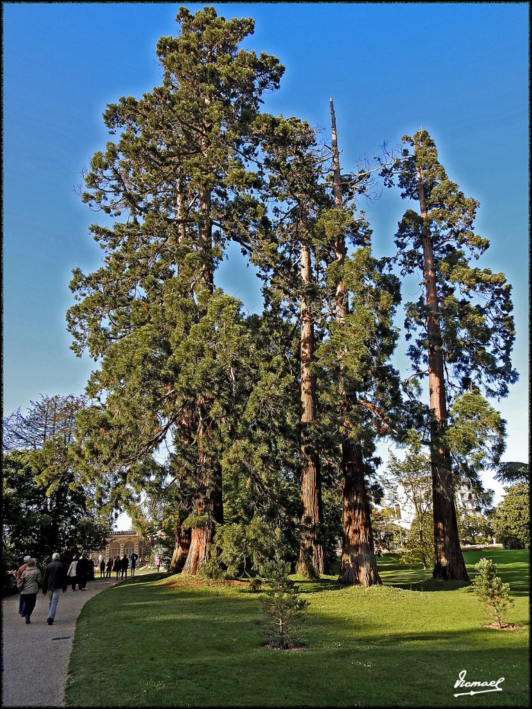 Foto: 170508-234 RENNES - Rennes (Brittany), Francia