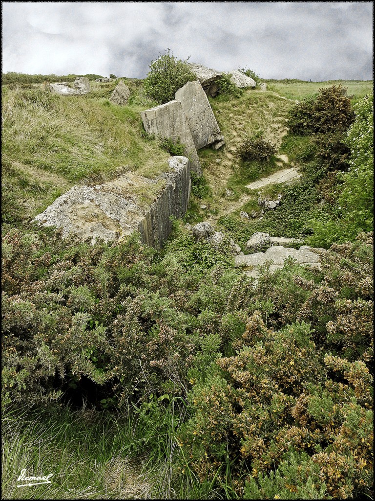 Foto: 170511-189 NORMANDIA - Normandia (Basse-Normandie), Francia