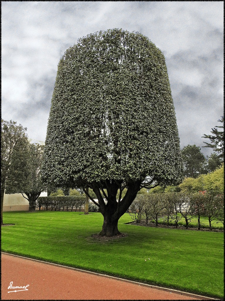 Foto: 170511-222 COLLEVILLE  CEMENTE - Colleville (Basse-Normandie), Francia