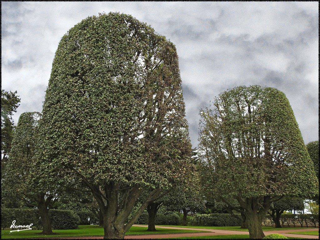 Foto: 170511-252 COLLEVILLE  CEMENTE - Colleville (Basse-Normandie), Francia
