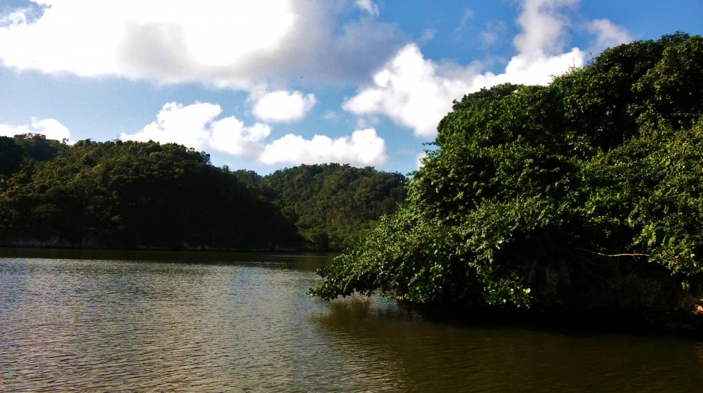 Foto: Parque Nacional Los Haitises - Parque Nacional Los Haitises (Hato Mayor), República Dominicana