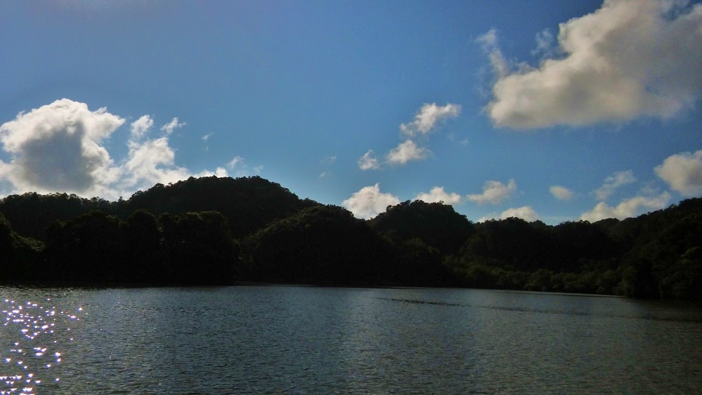 Foto: Parque Nacional Los Haitises - Parque Nacional Los Haitises (Hato Mayor), República Dominicana