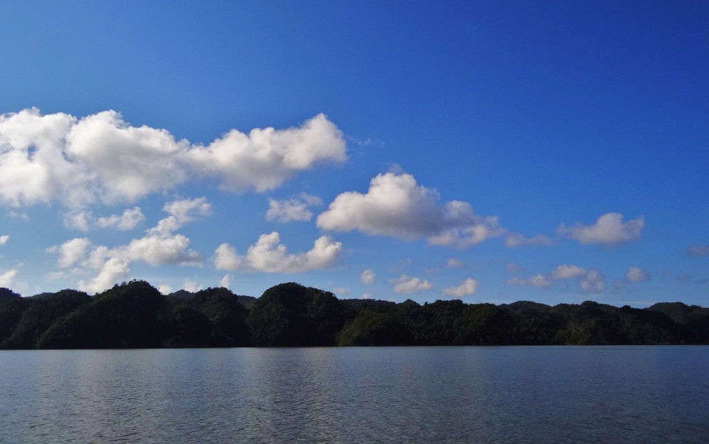 Foto: Bahía de San Lorenzo - Parque Nacional Los Haitises (Hato Mayor), República Dominicana