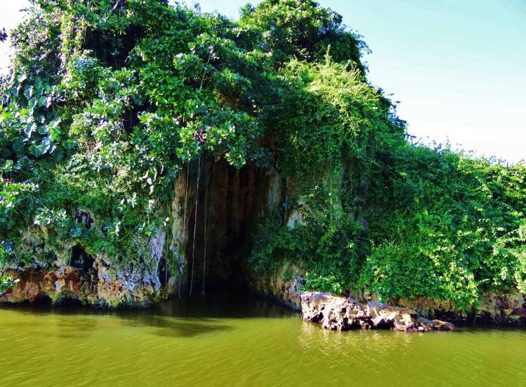 Foto: Parque Nacional Los Haitises - Parque Nacional Los Haitises (Hato Mayor), República Dominicana