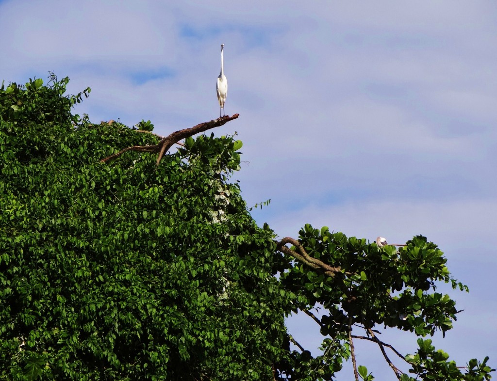 Foto: Parque Nacional Los Haitises - Parque Nacional Los Haitises (Hato Mayor), República Dominicana