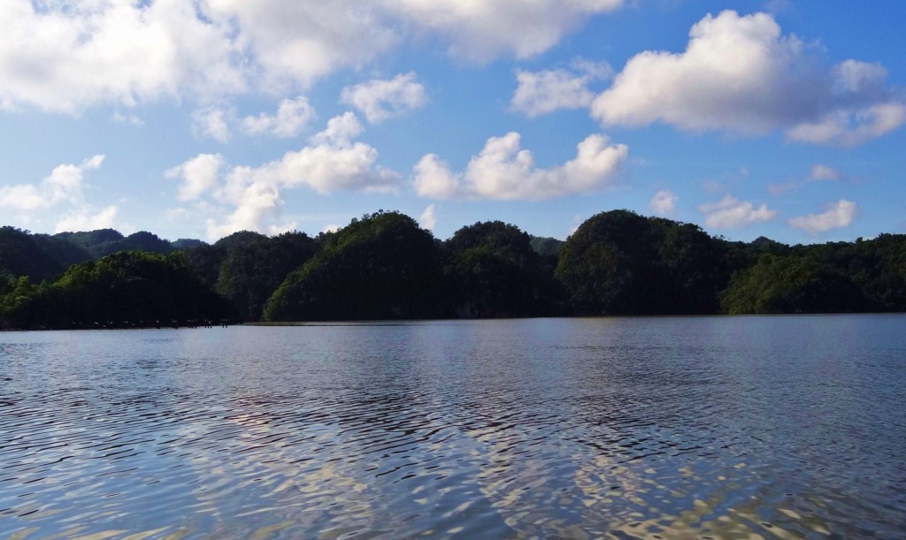 Foto: Bahía de San Lorenzo - Parque Nacional Los Haitises (Hato Mayor), República Dominicana