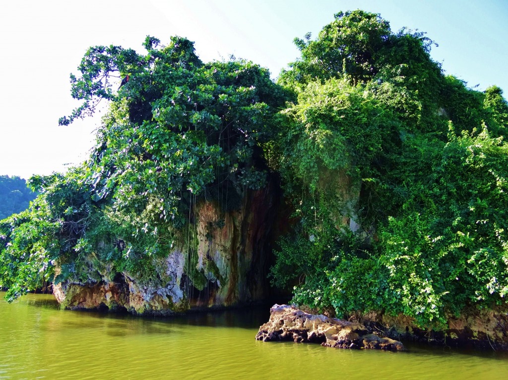 Foto: Parque Nacional Los Haitises - Parque Nacional Los Haitises (Hato Mayor), República Dominicana
