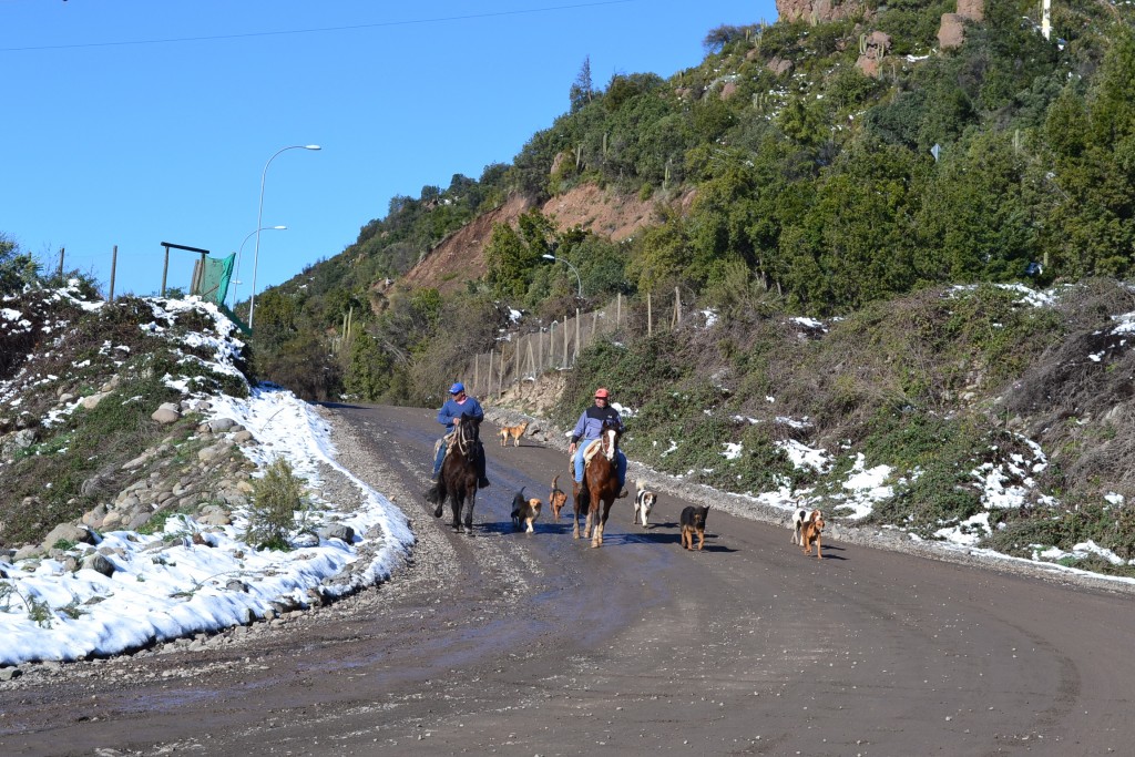 Foto de Chacayes (Libertador General Bernardo OʼHiggins), Chile