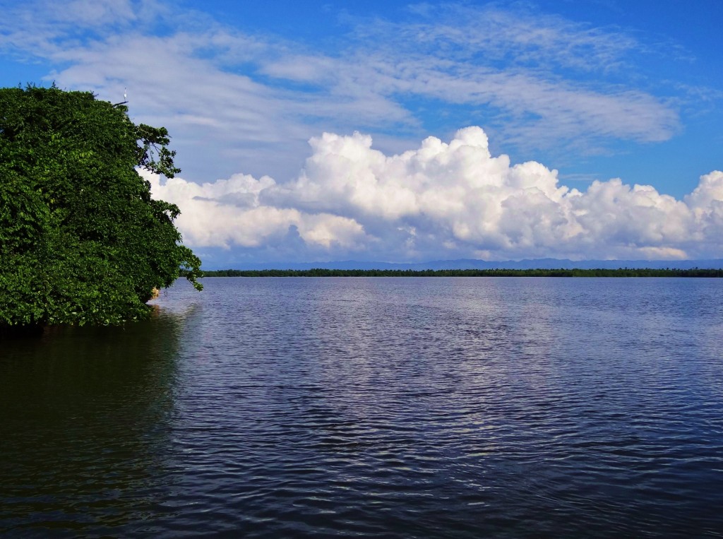 Foto: Parque Nacional Los Haitises - Parque Nacional Los Haitises (Hato Mayor), República Dominicana