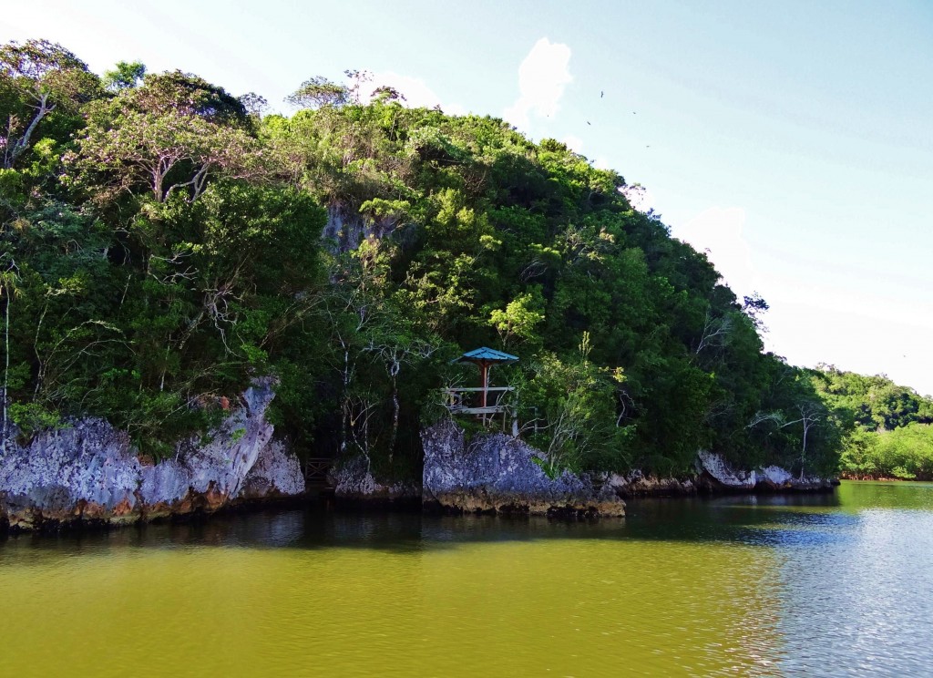 Foto: Parque Nacional Los Haitises - Parque Nacional Los Haitises (Hato Mayor), República Dominicana