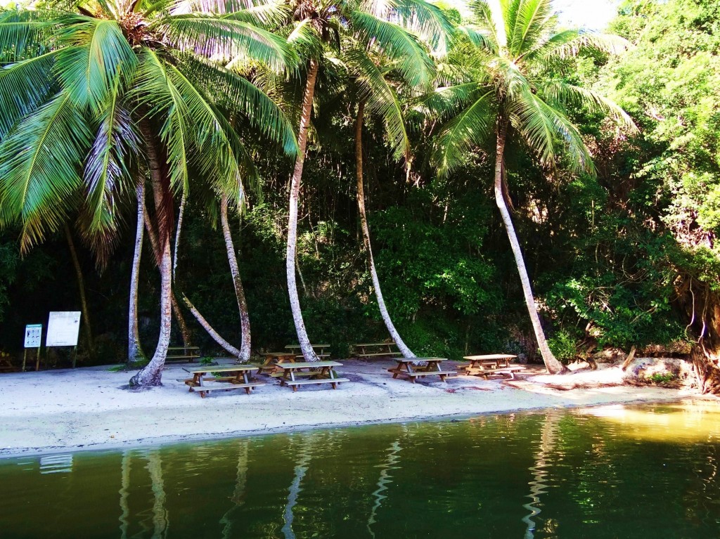 Foto: Parque Nacional Los Haitises - Parque Nacional Los Haitises (Hato Mayor), República Dominicana