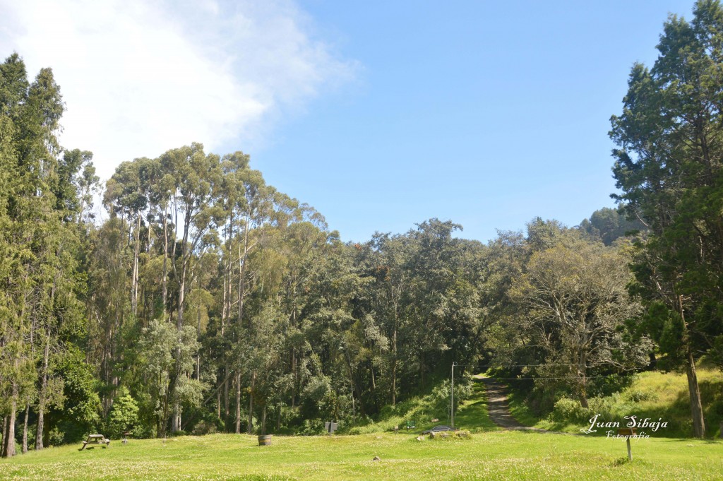 Foto de Parque Nacional Prusia (Cartago), Costa Rica