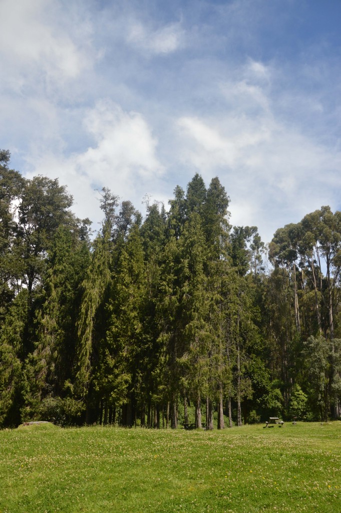 Foto de Parque Nacional Prusia (Cartago), Costa Rica