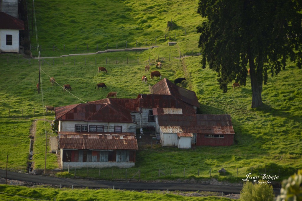 Foto de Parque Nacional Prusia (Cartago), Costa Rica