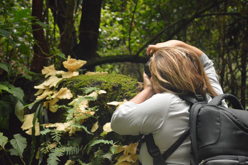 Foto de Alajuela, Costa Rica