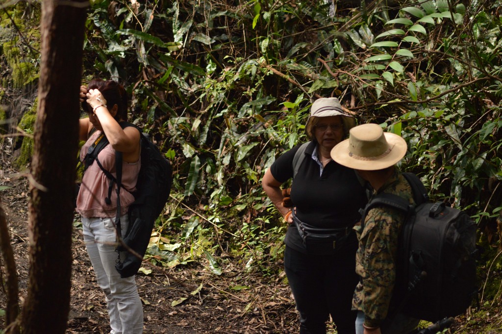 Foto de Alajuela, Costa Rica