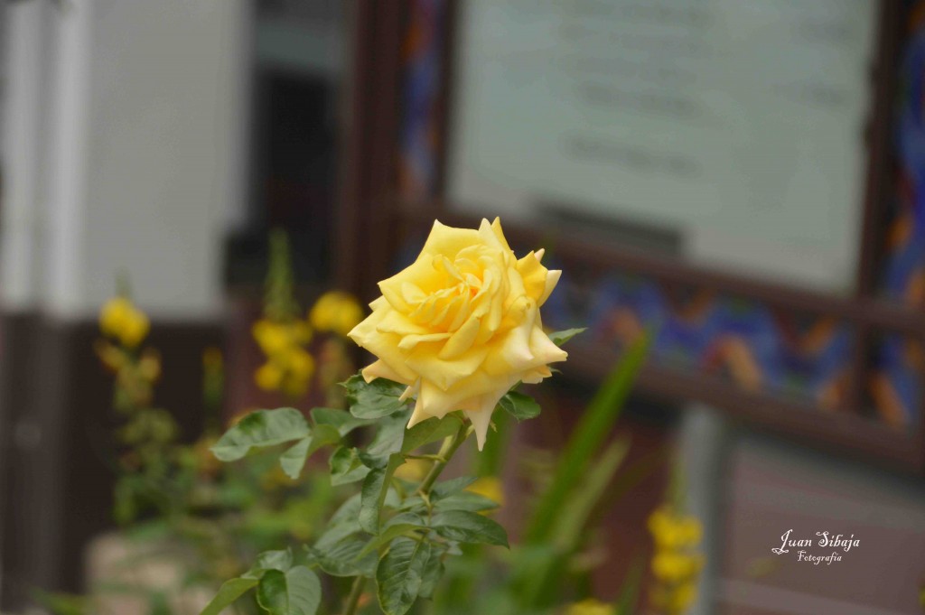 Foto de Alajuela, Costa Rica