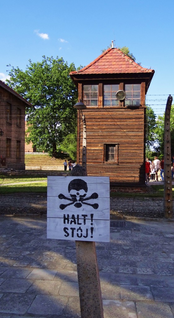 Foto: Muzeum Auschwitz-Birkenau - Oświęcim (Lesser Poland Voivodeship), Polonia