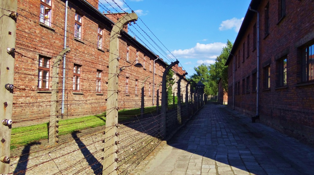 Foto: Muzeum Auschwitz-Birkenau - Oświęcim (Lesser Poland Voivodeship), Polonia