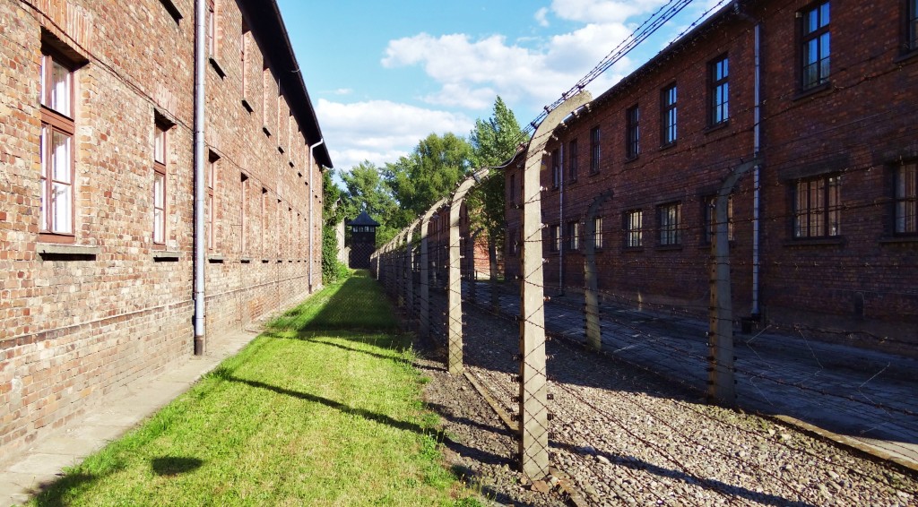 Foto: Muzeum Auschwitz-Birkenau - Oświęcim (Lesser Poland Voivodeship), Polonia