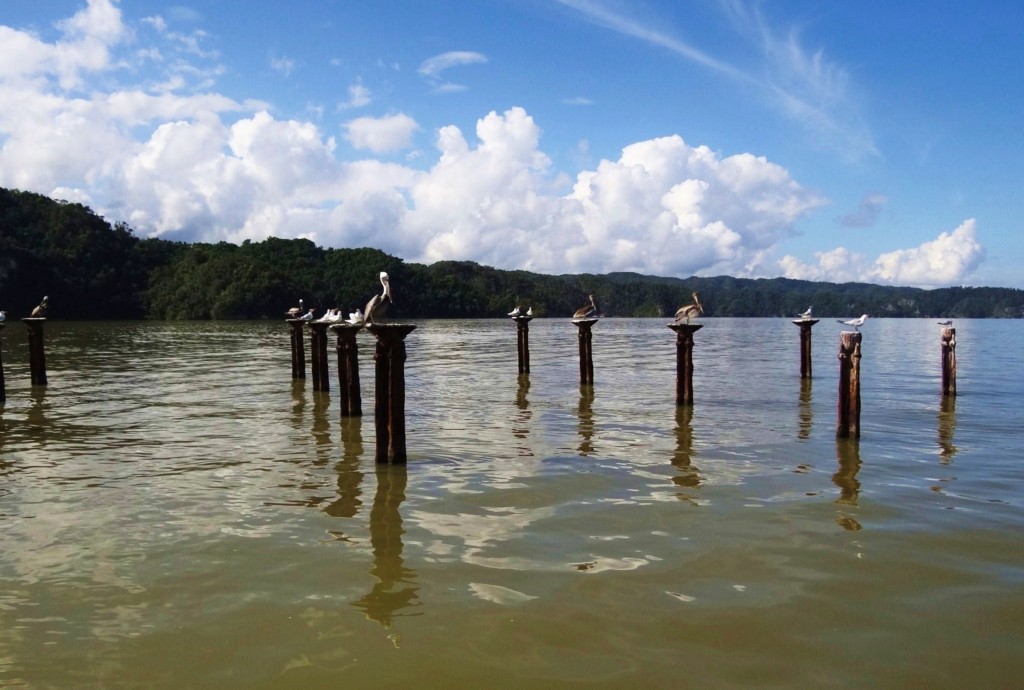 Foto: Los Haitises - Parque Nacional Los Haitises (Hato Mayor), República Dominicana